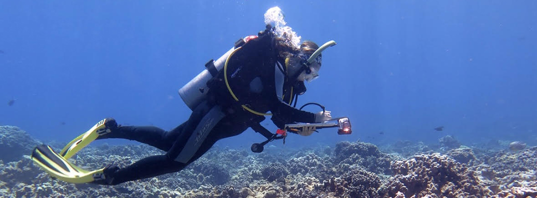 A scuba diver swims over a coral reef while writing on a dive slate.