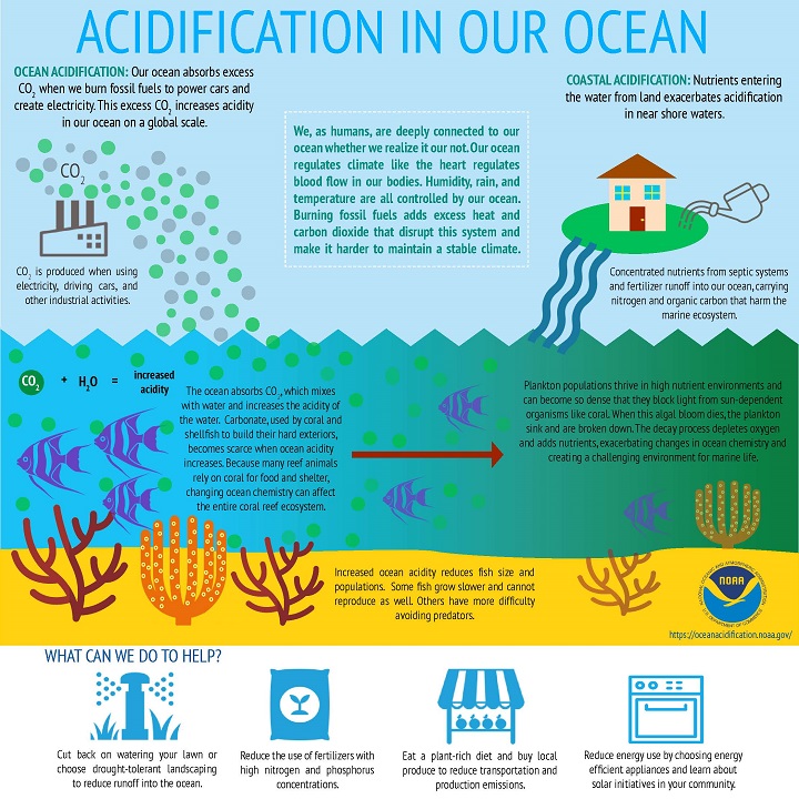 NOAA S Coral Reef Conservation Program CRCP Ocean Acidification