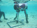 Reef monitoring program in Guam celebrated three years of success