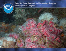 Cover - 2012 Deep-Sea Coral Report to Congress
