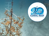The Coral Restoration Consortium