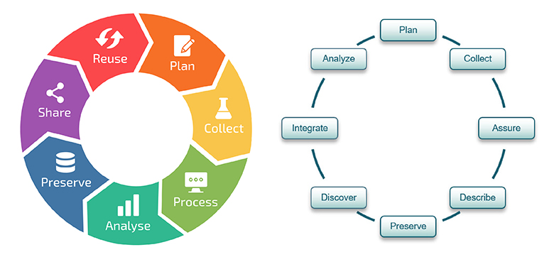 Two circular flow charts showing the stages of a data lifecycle.