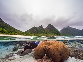 A diver in the National Park of American Samoa