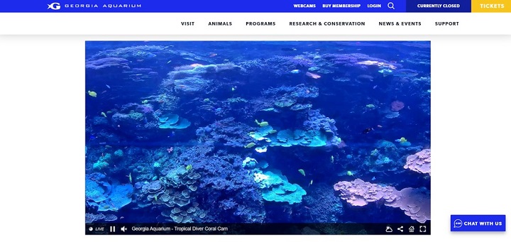The Indo-Pacific Barrier Reef Webcam at the Georgia Aquarium