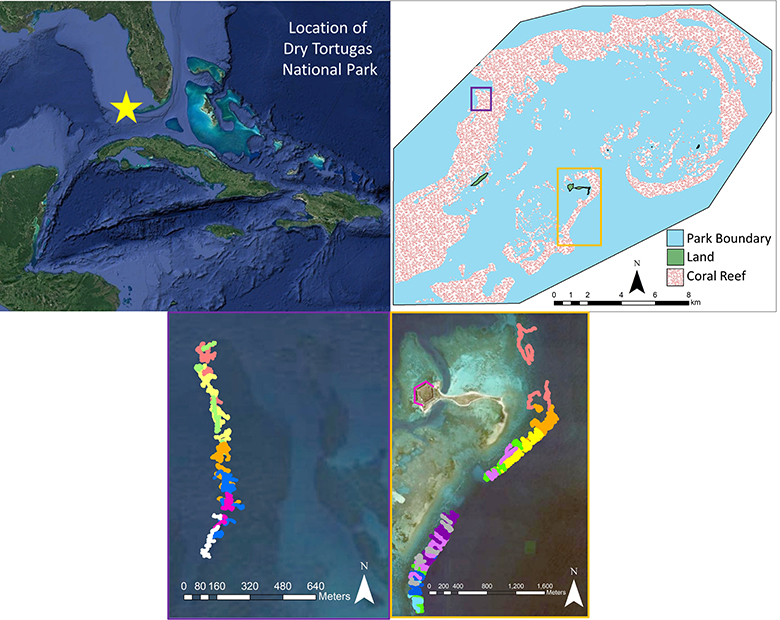 A series of maps with increasingly zoomed in focus to coral reefs in the Dry Tortugas.