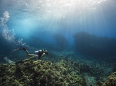 A woman scuba dives atop a coral reef in the tropical waters of Kona, Hawaiʻi.