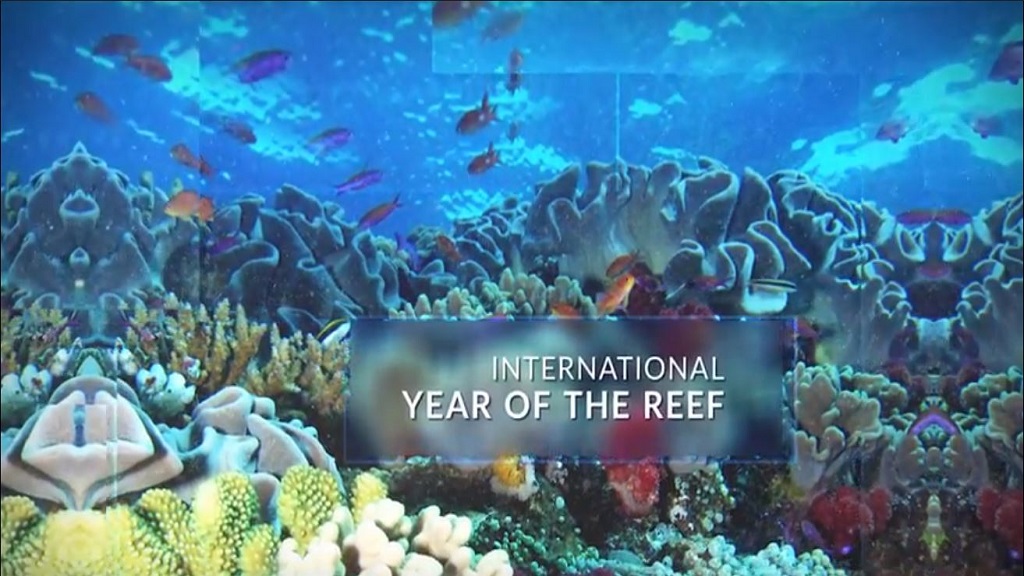 International Year of the Reef