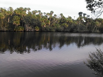 The North Fork, St. Lucie River Aquatic Preserve