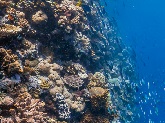The North Broken Passage in the Great Barrier Reef