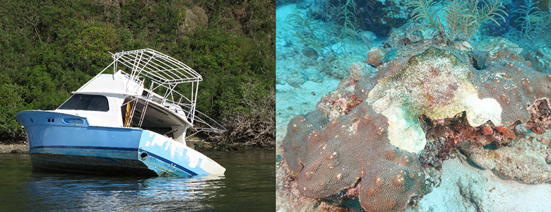 A photo of a white pleasure boat listing on its side in shallow water on the left and a brown rocklike coral with a large white area on it on the right.