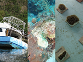 Photo of a white pleasure boat listing on its side in shallow water (left), photo of a brown rocklike coral with a large white area on it (middle), photo of a group of dark brown chunks of coral adhered to light brown squares sit in an aquarium tank (right)