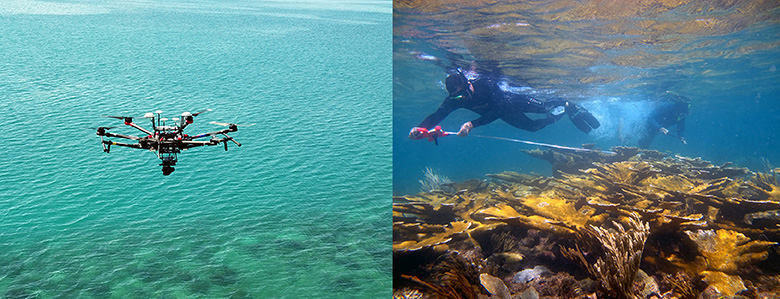Two photos side-by-side. On the left, a mechanical flying object (drone) hovering above shallow ocean water. On the right, a snorkeler stretches a white line over a yellow and brown coral reef.