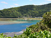 View of a beach and vegetation surrounding it with green hills in the background.