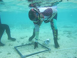 Reef monitoring in Guam celebrates 3 years of success