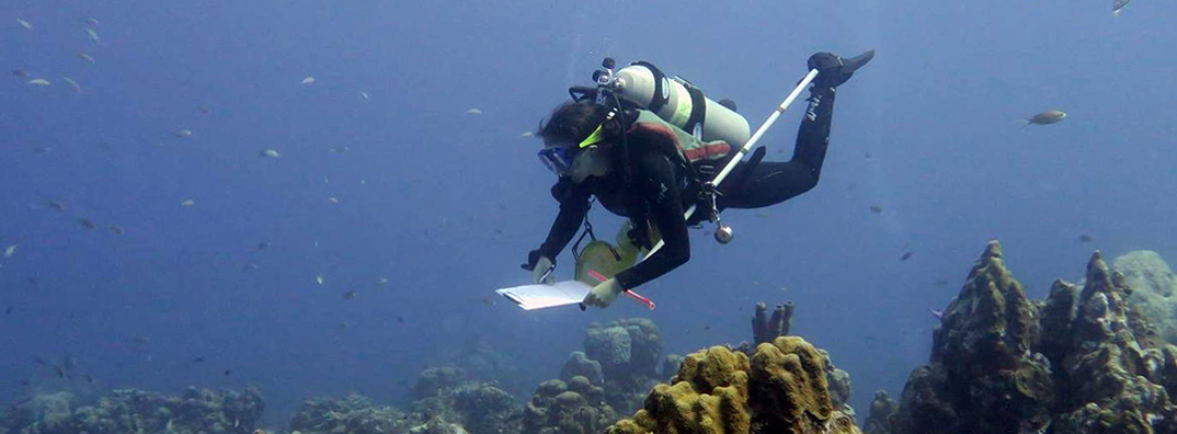 A diver hovers over a shallow coral reef with a notepad and pen in hand.