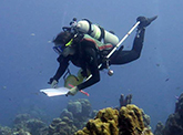 A diver hovers over a shallow coral reef with a notepad and pen in hand.