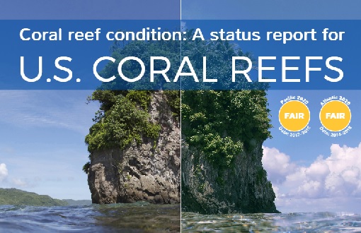 Coral reef condition A status reports for the Flower Garden Banks