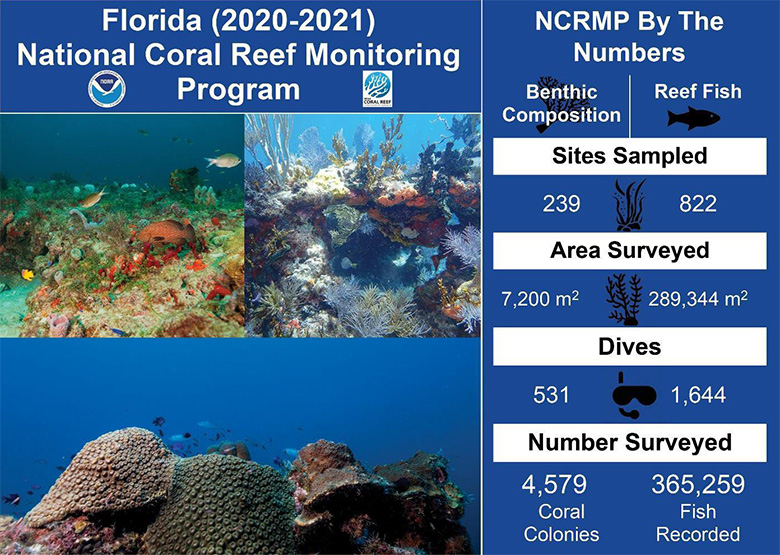  Infographic with the title Florida (2020-2021) National Coral Reef Monitoring Program with three representative images of Florida's coral reefs on the left and NCRMP by the numbers along the right.