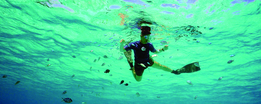Underwater image of a male snorkeler floating at surface with small fish all around him.