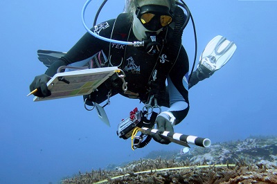 A scuba diver holding a clipboard and a black and white striped pole swims over a reef. 
