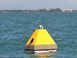 An ocean acidification monitoring buoy in Cheeca Rocks, an inshore patch reef within the Florida Keys National Marine Sanctuary. Credit: NOAA Ocean Acidification Program