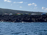 The shoreline of the Community-based Sustainable Fisheries Area at Miloli'i, Hawai'i. Credit: NOAA/Mike Lameier