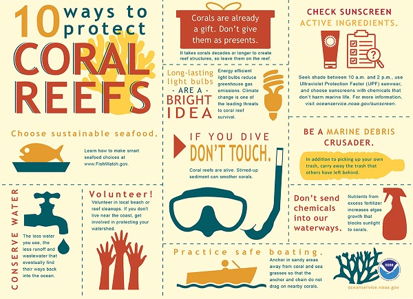 10 ways to protect coral reefs