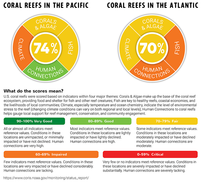 Coral reefs in the Pacific/Coral reefs in the Atlantic