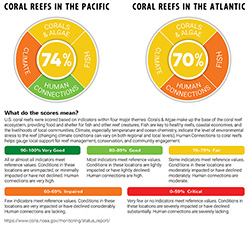 Coral reefs in the Pacific/Coral reefs in the Atlantic