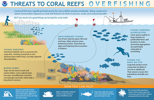 Threats to Coral Reefs: Overfishing 