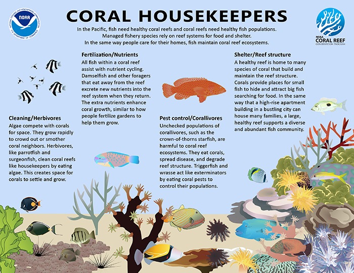 Coral Housekeepers in the Pacific Basin