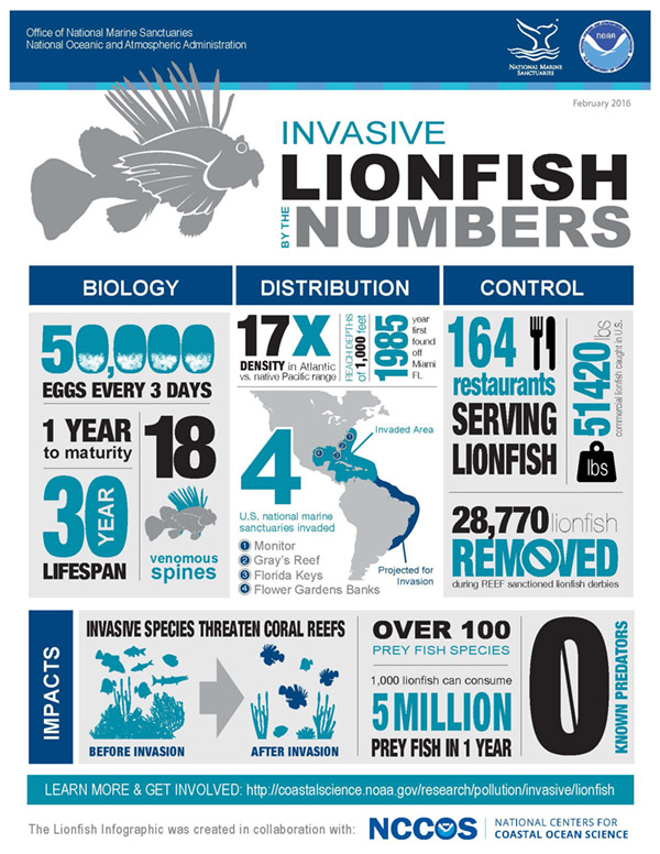Lionfish by the numbers