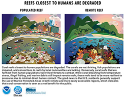 Reefs Closest to Humans are Degraded