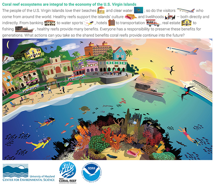 Coral reef ecosystems are integral to the economy of the U.S. Virgin Islands