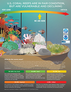 US coral reefs are in fair condition, but are vulnerable and declining